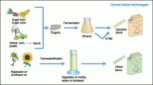 proceso biocombustibles